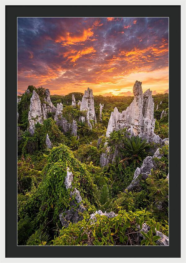 Nauru Pinnacle Rocks At Sunset