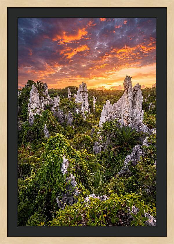 Nauru Pinnacle Rocks At Sunset