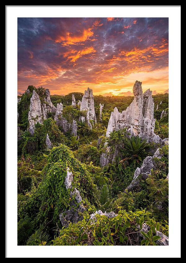 Nauru Pinnacle Rocks At Sunset