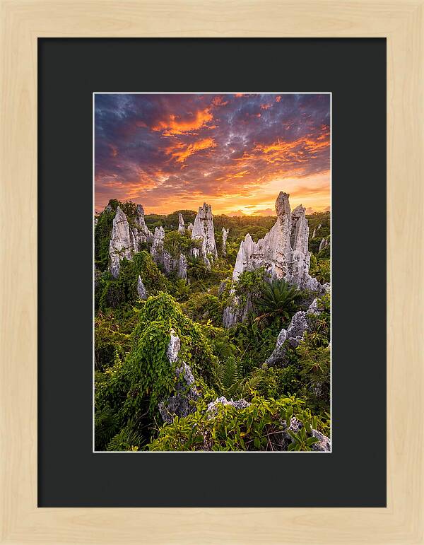 Nauru Pinnacle Rocks At Sunset