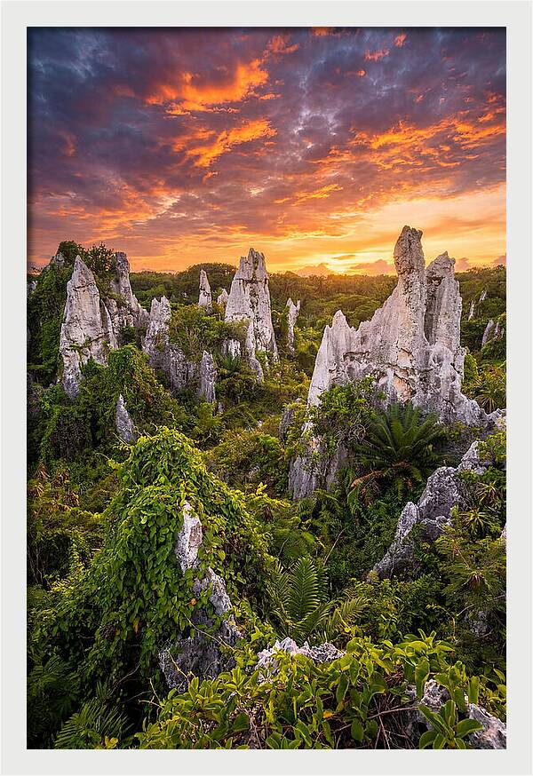 Nauru Pinnacle Rocks At Sunset