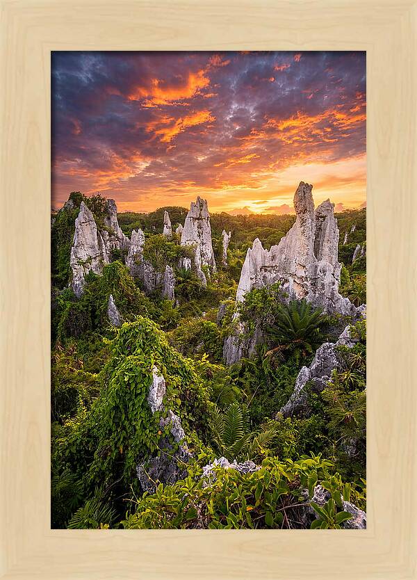 Nauru Pinnacle Rocks At Sunset