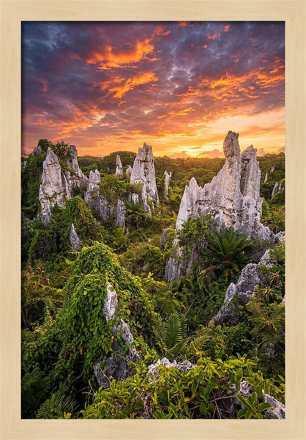 Nauru Pinnacle Rocks At Sunset