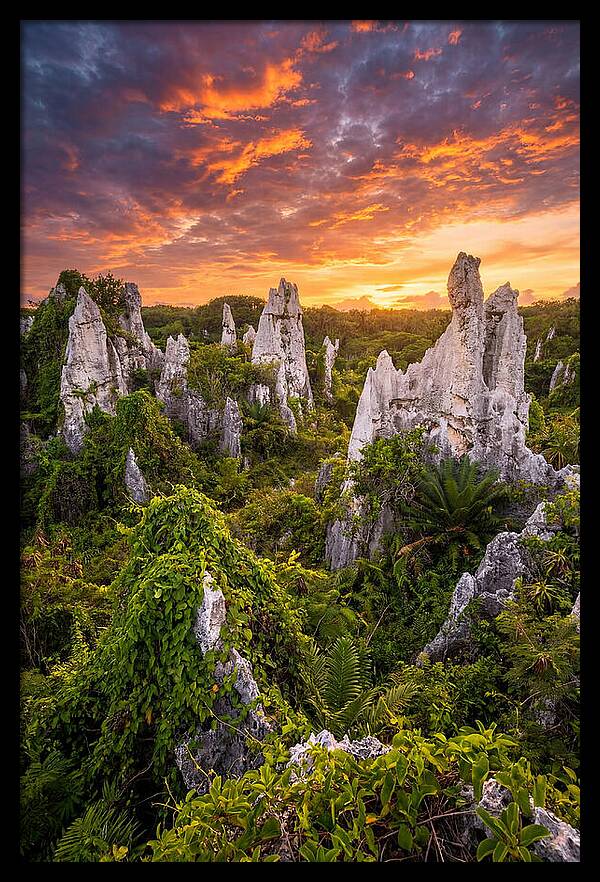 Nauru Pinnacle Rocks At Sunset