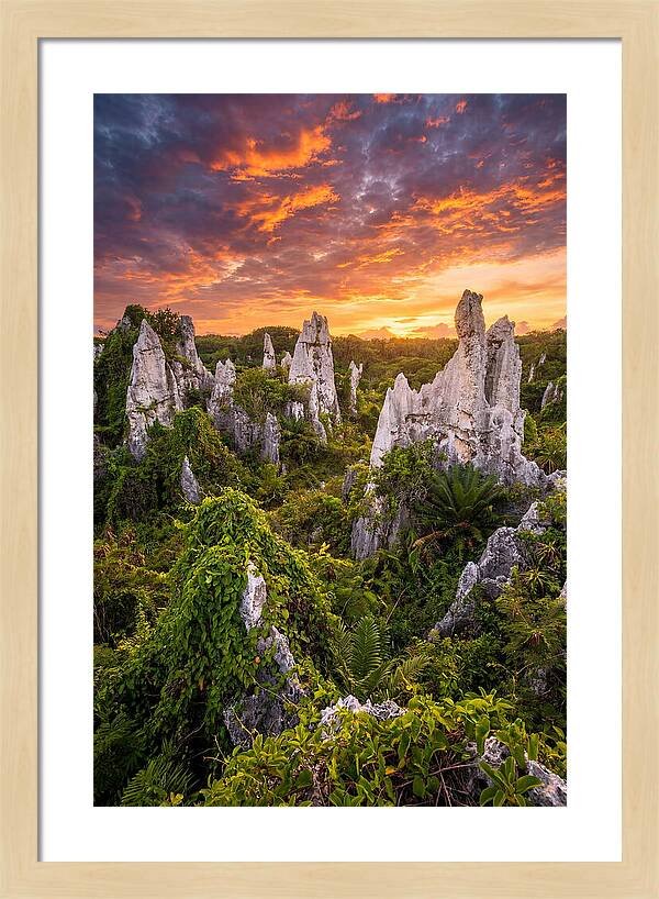 Nauru Pinnacle Rocks At Sunset