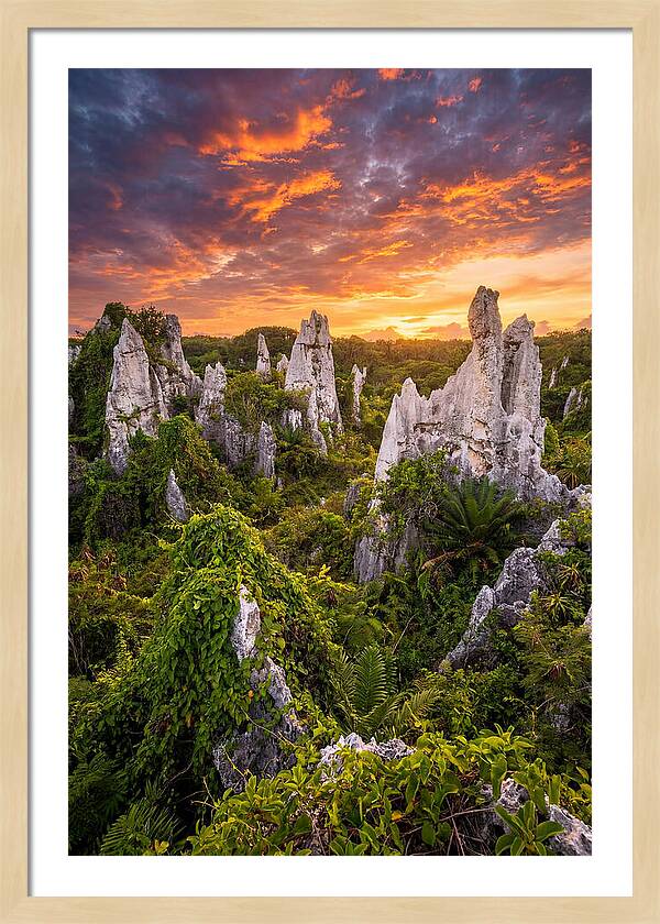 Nauru Pinnacle Rocks At Sunset