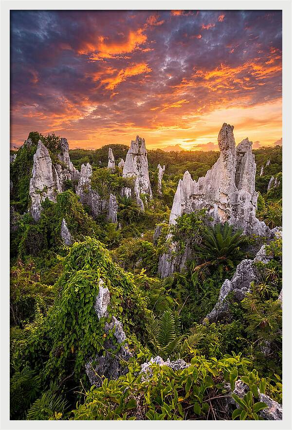 Nauru Pinnacle Rocks At Sunset