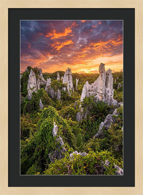 Nauru Pinnacle Rocks At Sunset