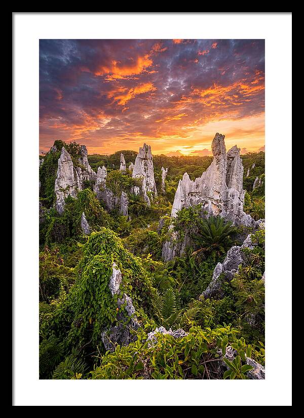 Nauru Pinnacle Rocks At Sunset