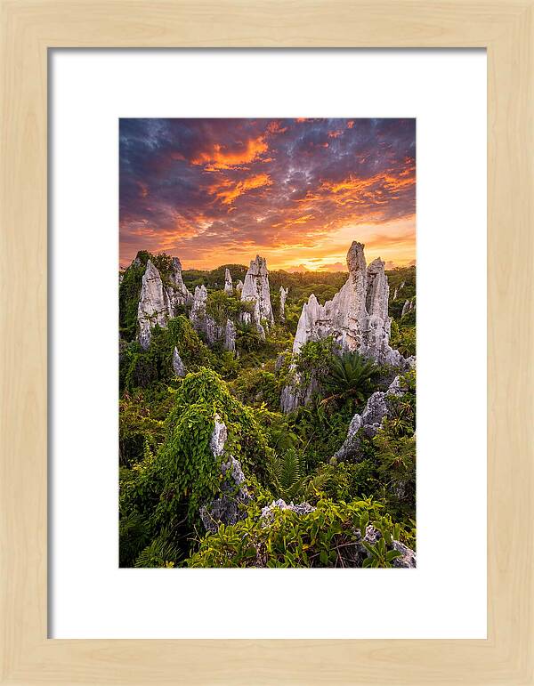 Nauru Pinnacle Rocks At Sunset