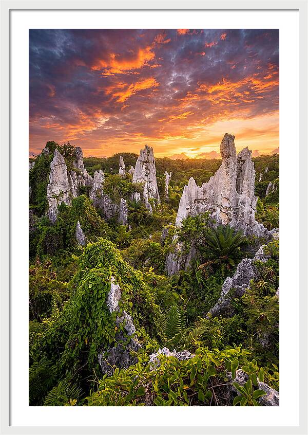 Nauru Pinnacle Rocks At Sunset