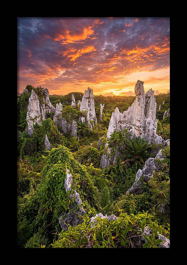 Nauru Pinnacle Rocks At Sunset
