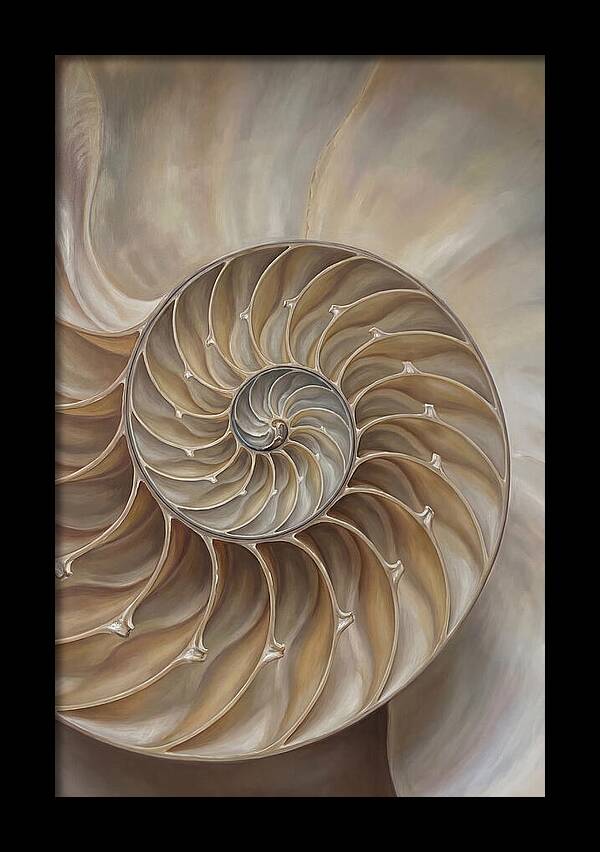 Nautilus Shell Cross Section