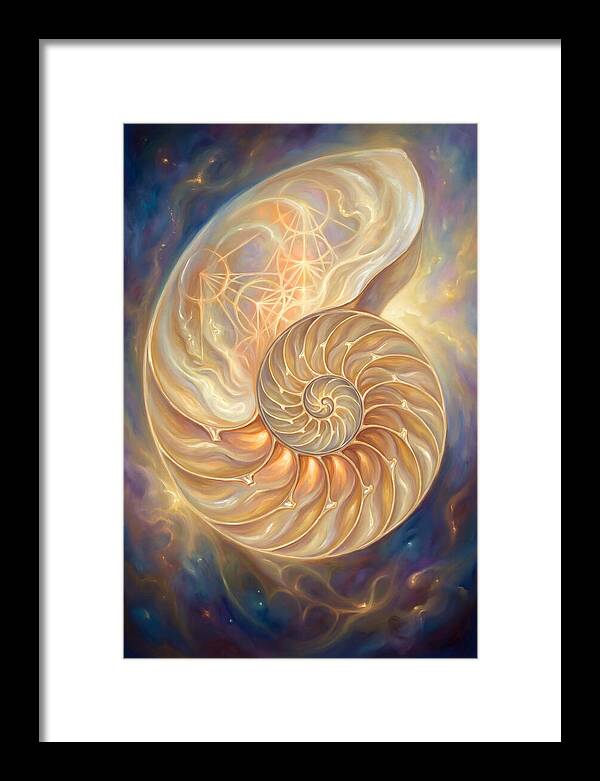 Nautilus Shell