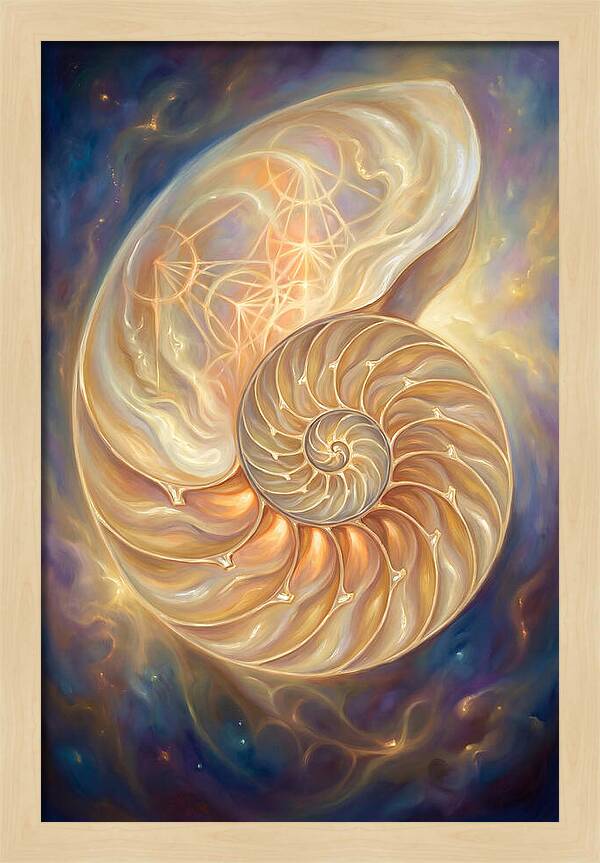 Nautilus Shell
