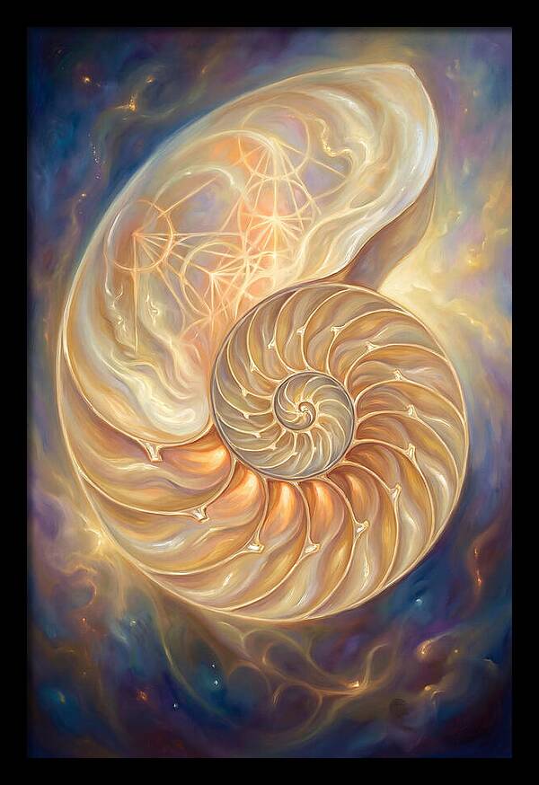 Nautilus Shell