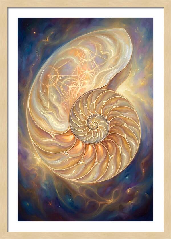 Nautilus Shell