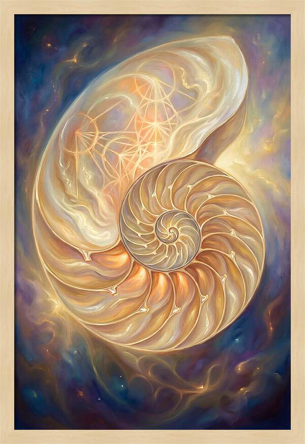 Nautilus Shell