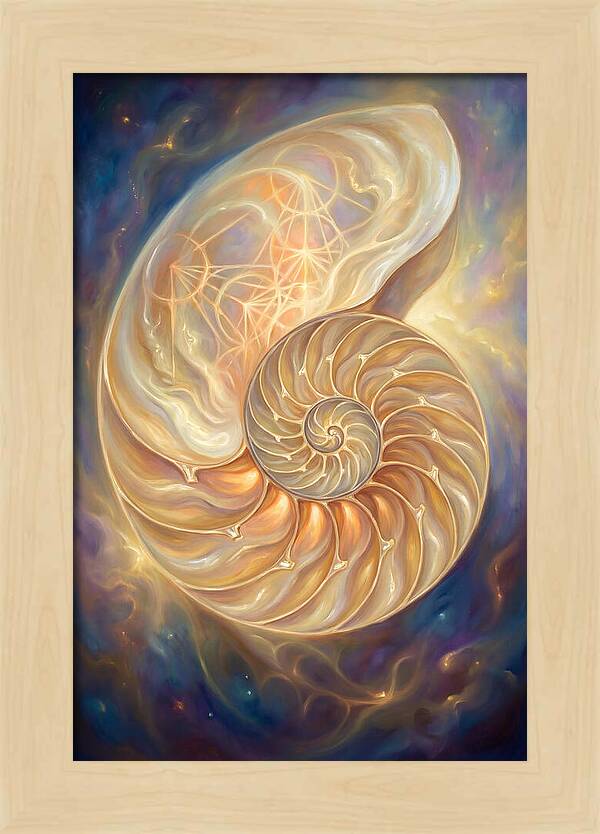 Nautilus Shell