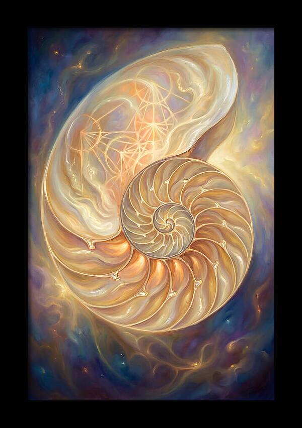 Nautilus Shell