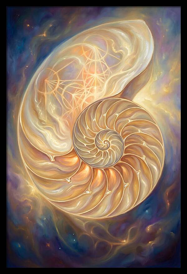 Nautilus Shell