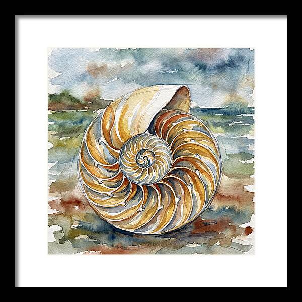 Nautilus Shell Serenity