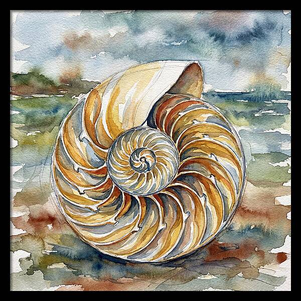 Nautilus Shell Serenity