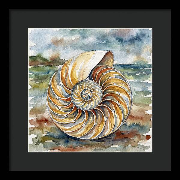 Nautilus Shell Serenity