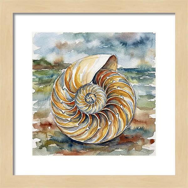 Nautilus Shell Serenity