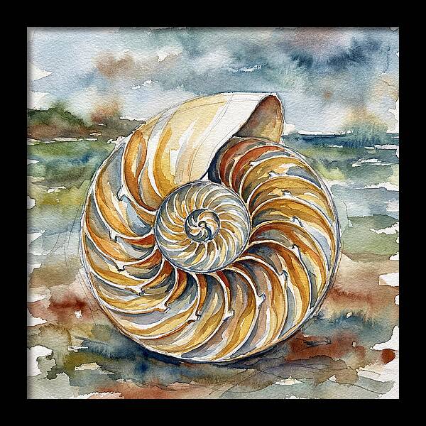 Nautilus Shell Serenity