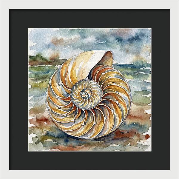 Nautilus Shell Serenity