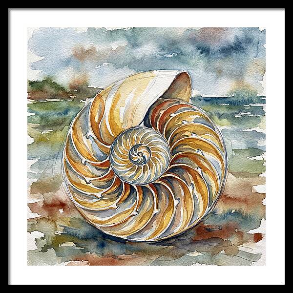 Nautilus Shell Serenity