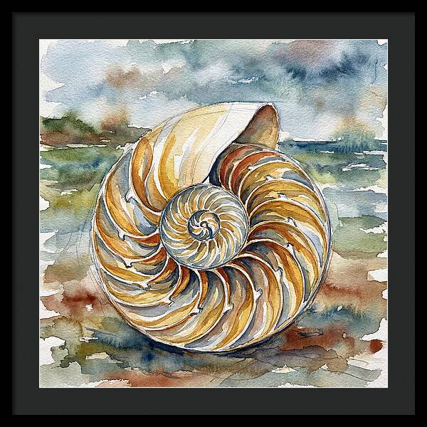 Nautilus Shell Serenity
