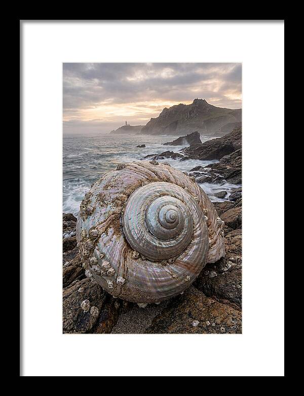 Nautilus Shell Symphony
