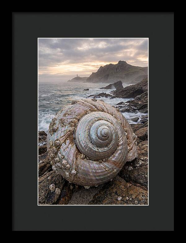 Nautilus Shell Symphony
