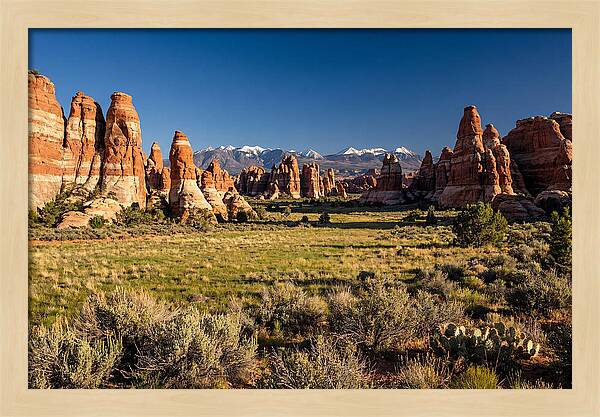 Needles District Serenity