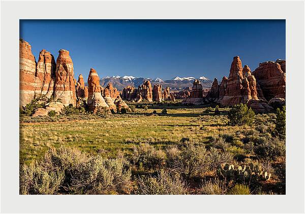 Needles District Serenity