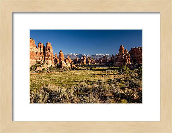 Needles District Serenity