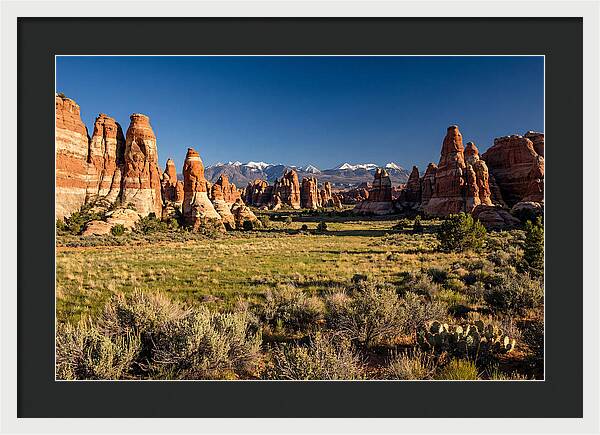 Needles District Serenity