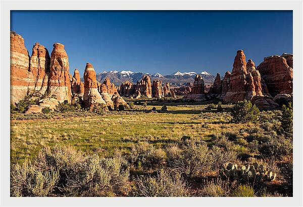 Needles District Serenity