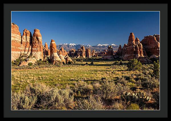 Needles District Serenity