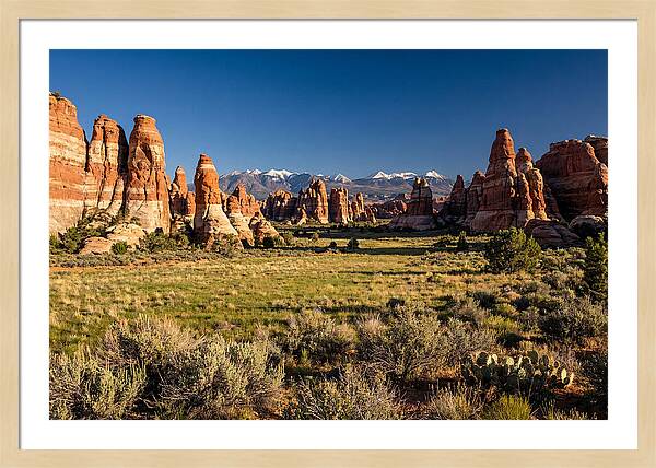 Needles District Serenity