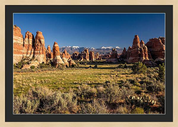Needles District Serenity