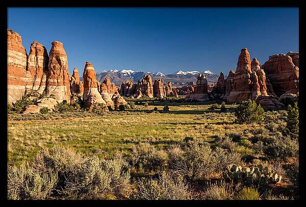 Needles District Serenity