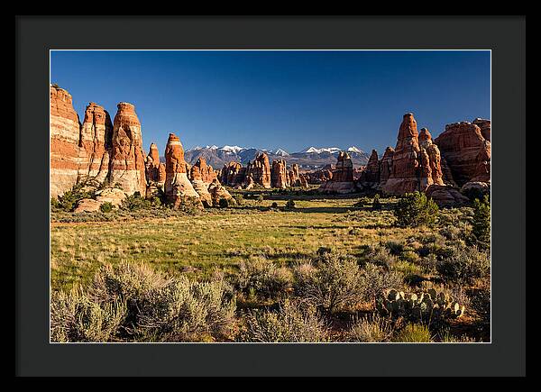Needles District Serenity