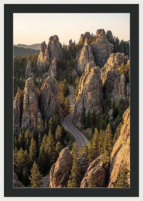 Needles Highway Serenity