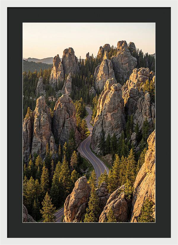 Needles Highway Serenity