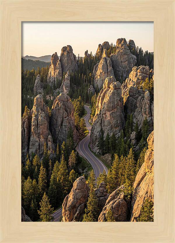Needles Highway Serenity