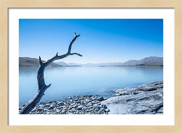 Negative Space Serenity