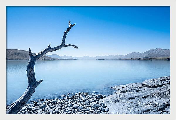 Negative Space Serenity